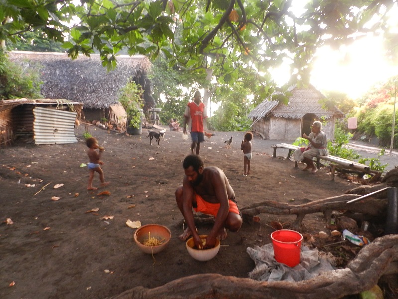 tribu, Varamsu, ile d'Anbrym, Vanuatu, préparation du kava...